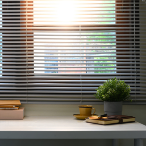 Venetian Blinds