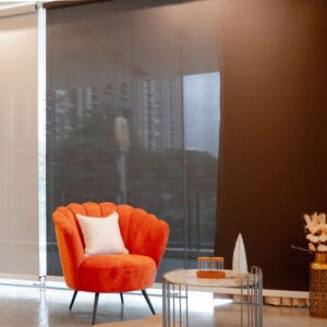 Manual and Motorized Outdoor Roller Blinds