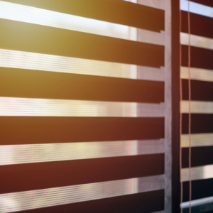 Zebra Blinds